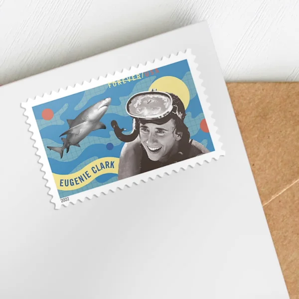 3-1-14.webp