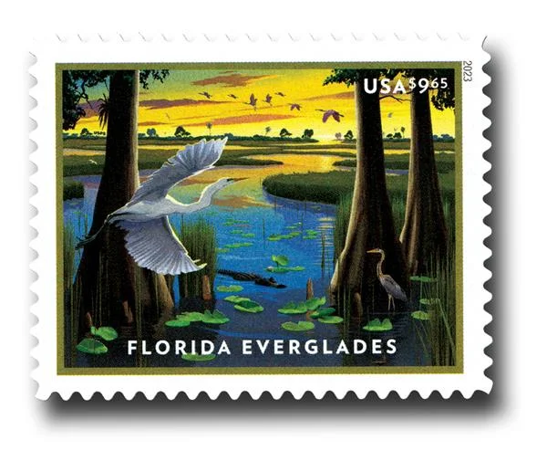 USA-5751.webp
